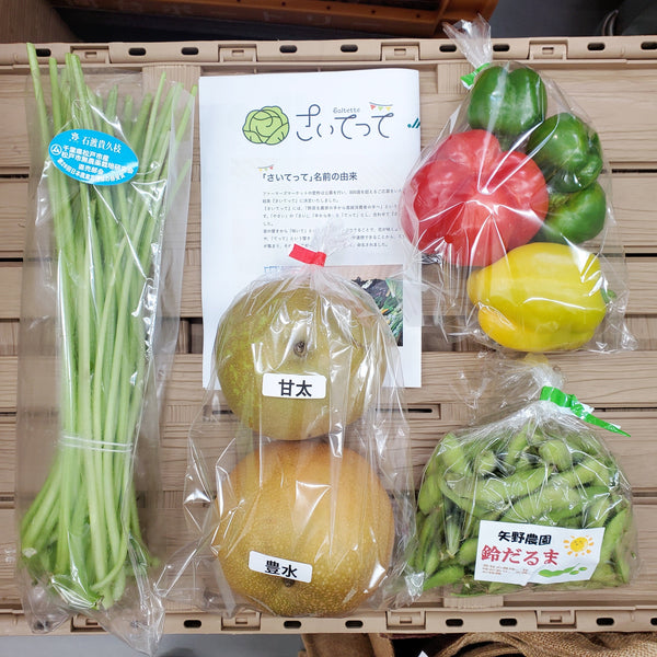 2025年9月18日（木）お届け内容