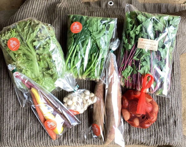 2025年10月16日（木）お届け内容