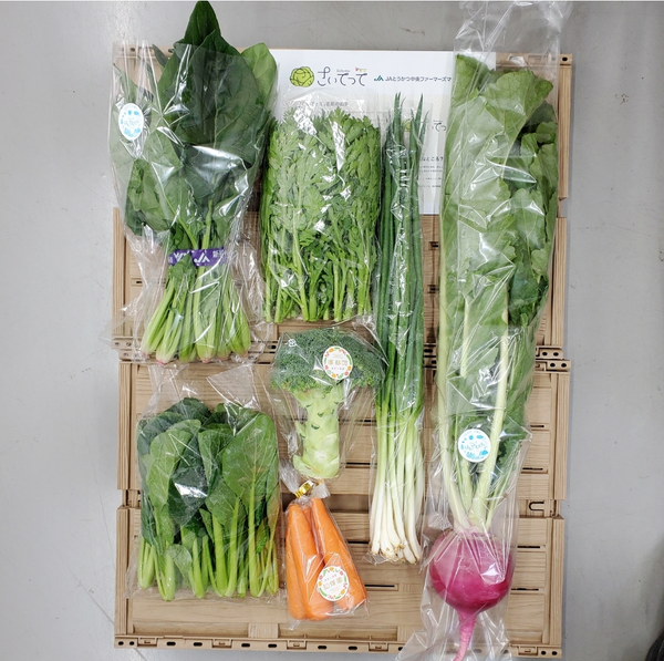 2025年11月20日（木）お届け内容