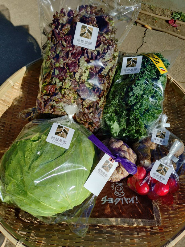 2025年12月4日（木）お届け内容