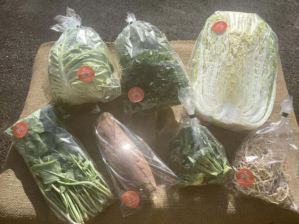 2026年1月15日（木）お届け内容